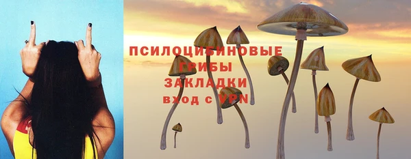 скорость Арсеньев