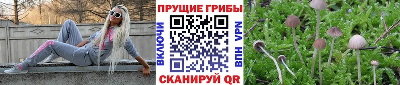 Галлюциногенные грибы Cubensis  наркошоп  MEGA зеркало  Нижняя Салда 