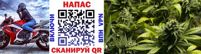 Канабис индика Нижняя Салда